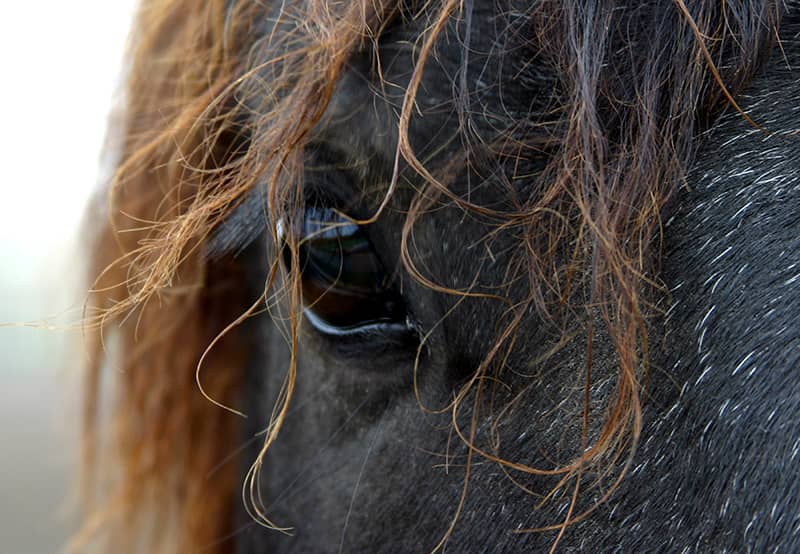 Photography project by Kenneth Evans