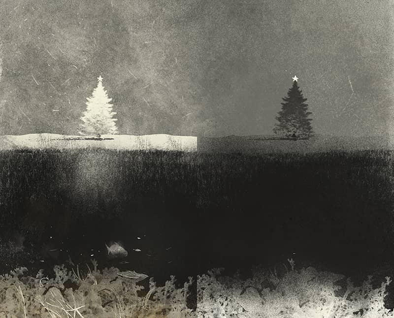 Illustration project by Matthew Kam