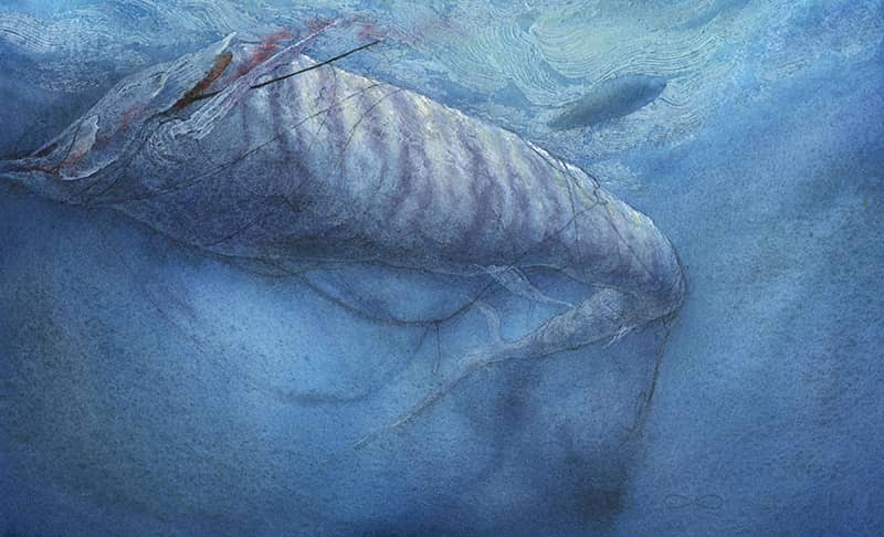 Illustration project by Tami Kuo