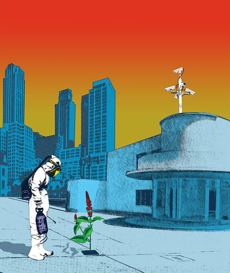 Illustration project by Pierre-Paul Pariseau