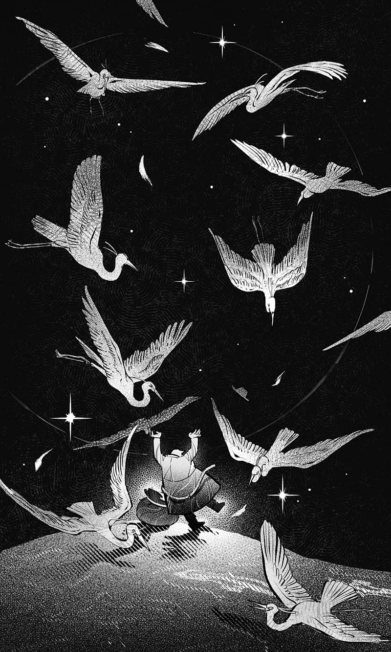 Illustration project by Qiuyuan Ran