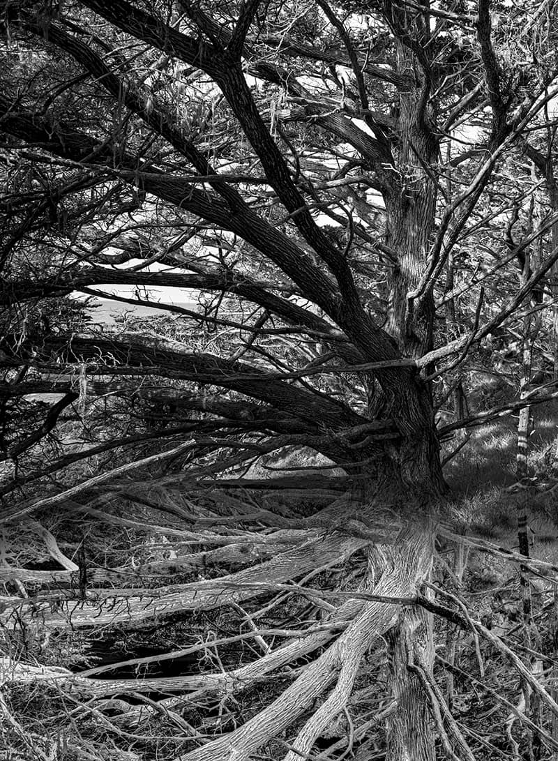 Photography project by Jon Sharer