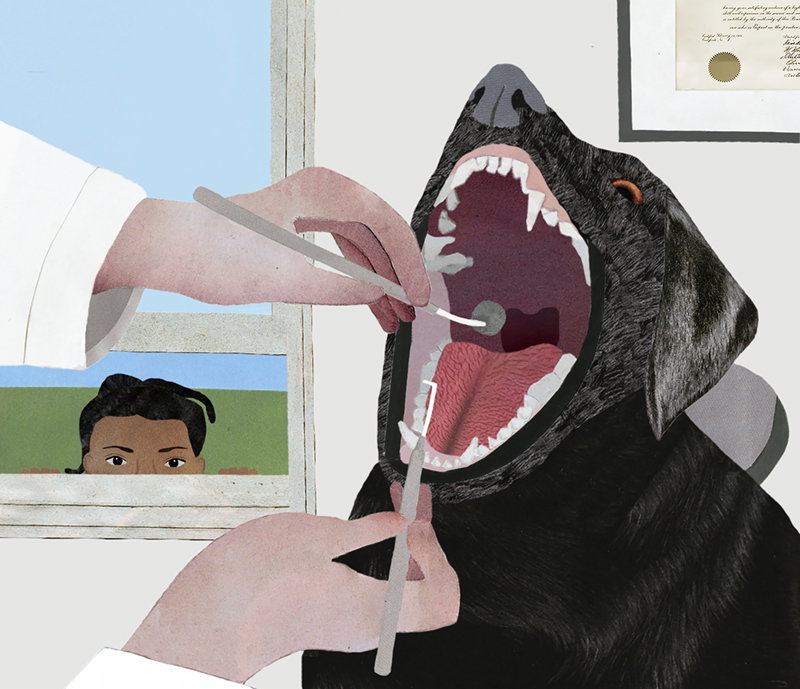 Illustration project by Julianne Aguilar