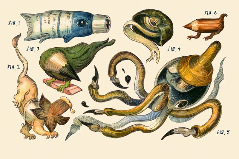 Illustration project by Julie Benbassat
