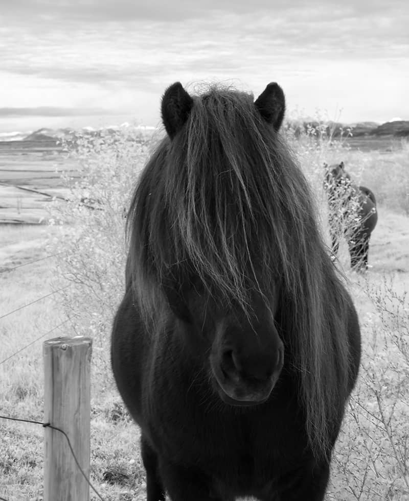 Photography project by Karin Forde Whittemore