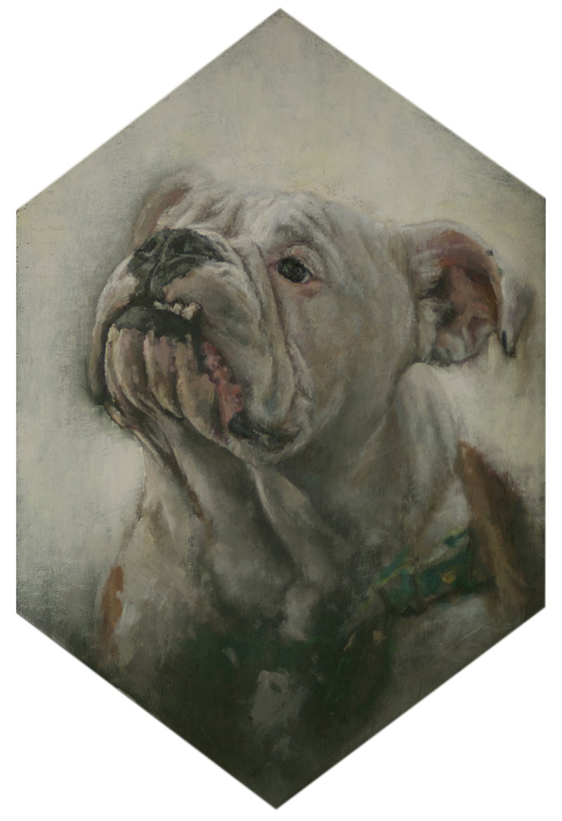 Fine Art project by David Zeggert