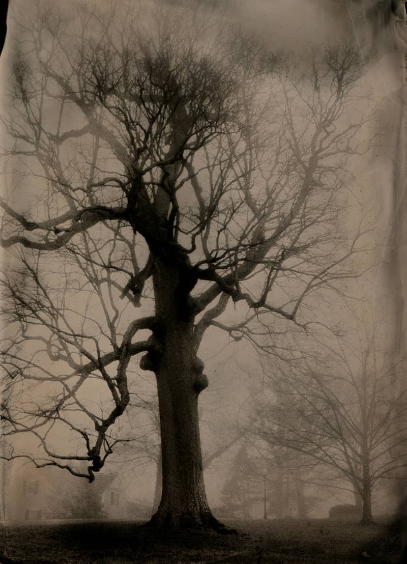 Fine Art project by Susan Bryant