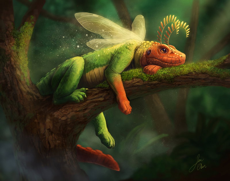 Illustration project by Jennifer Ober