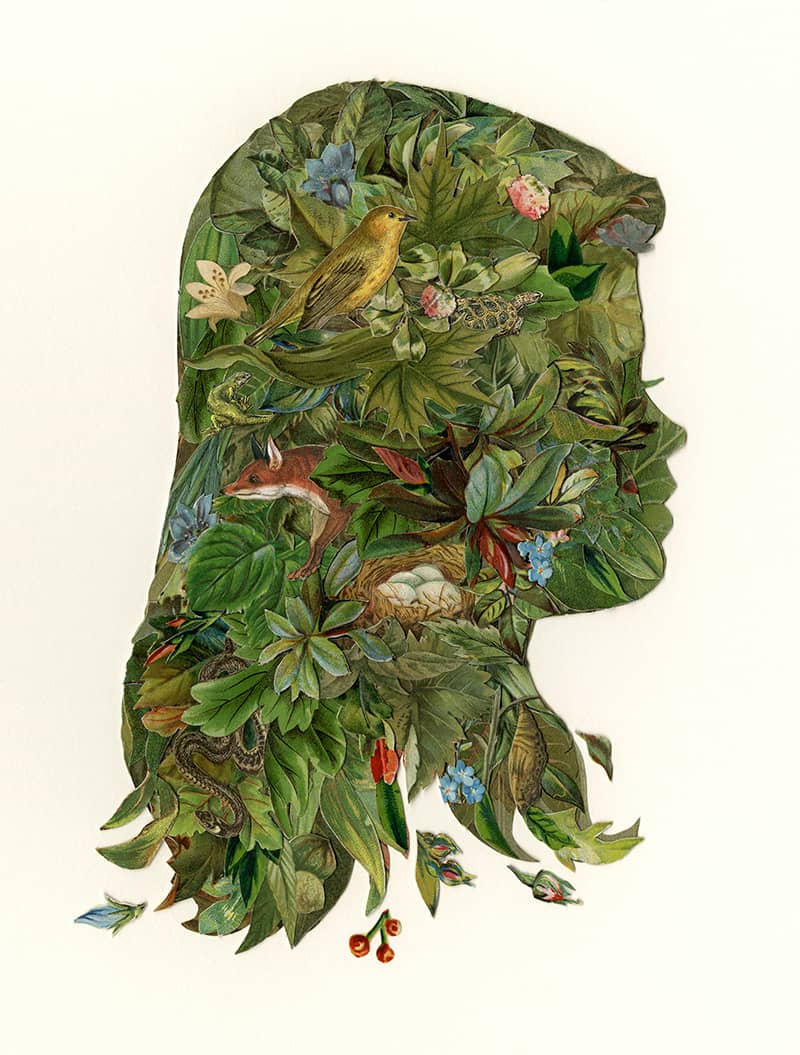 Illustration project by William Renkl