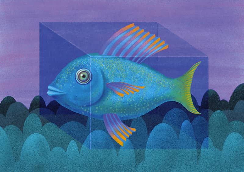 Illustration project by Hiroshi Watanabe