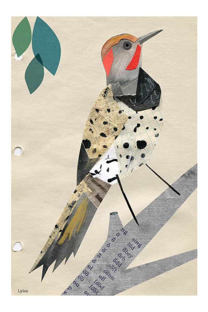 Illustration project by Christopher Lyles