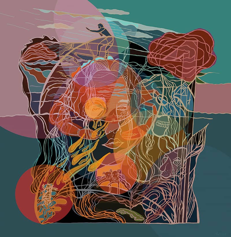 Illustration project by Anson Liaw