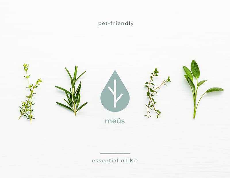 Graphic Design project by Rachel Bergmann