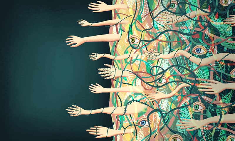 Illustration project by Rachel Haralson