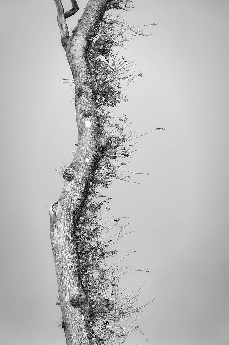 Photography project by Karin Whittemore