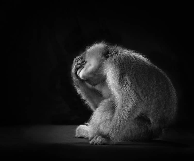 Photography project by Lennette Newell