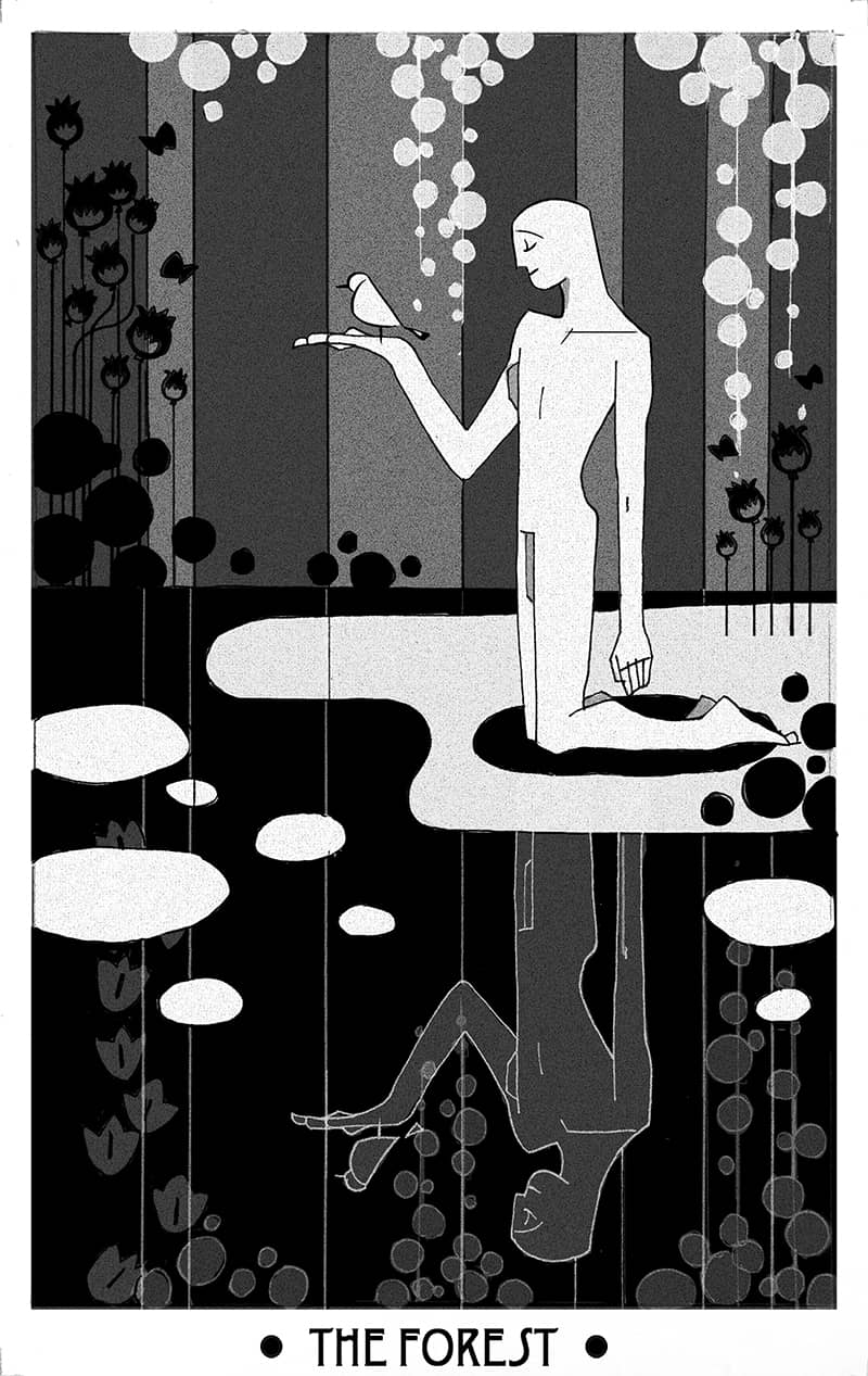 Illustration project by Yichun Xie
