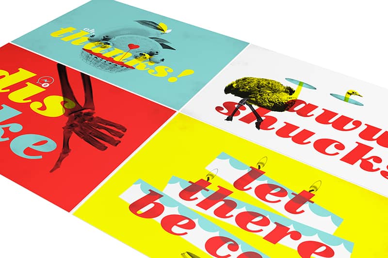 Graphic Design project by Amanda Lenig