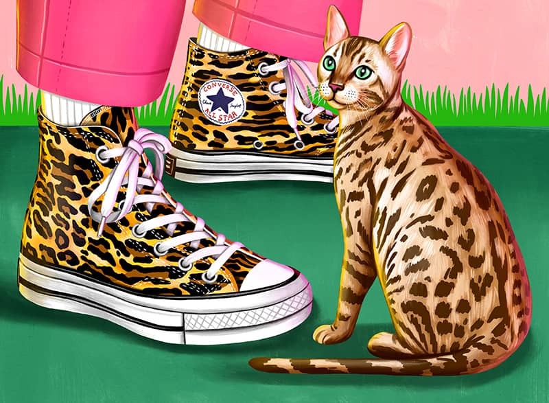 Illustration project by Juliette Toma