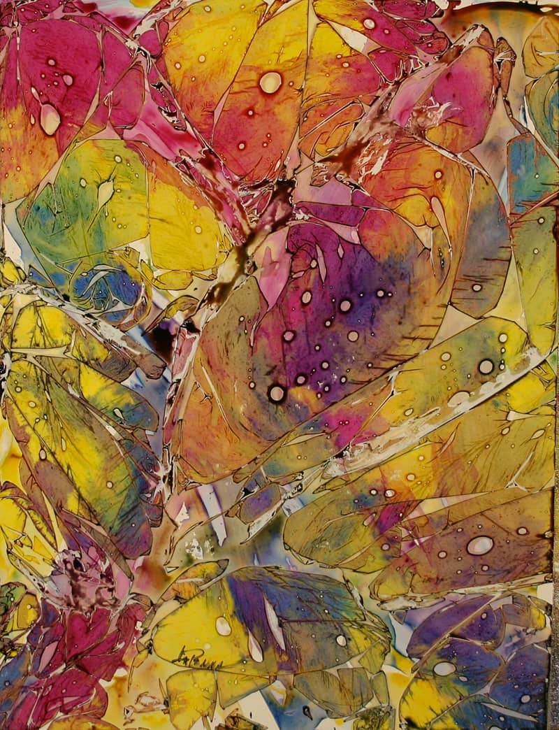 Fine Art project by Elizabeth LaPenna