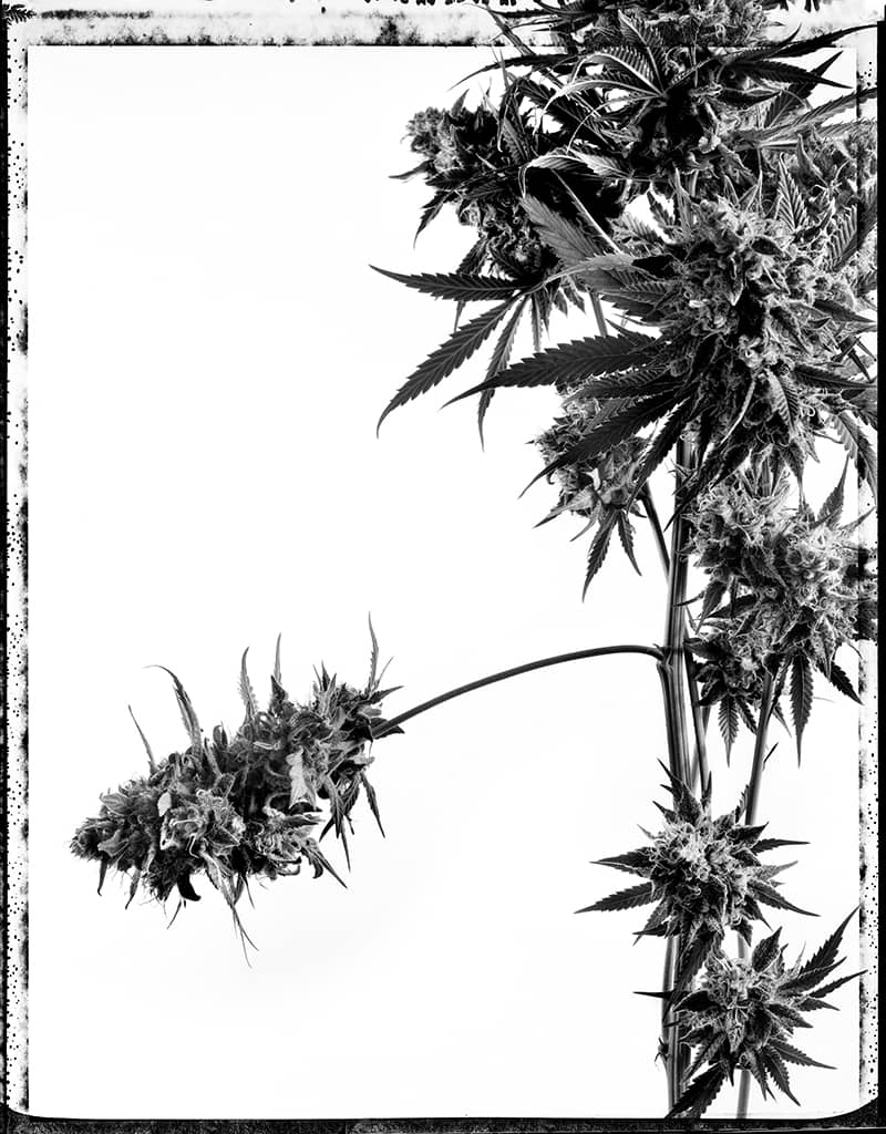 Photography project by  joSon