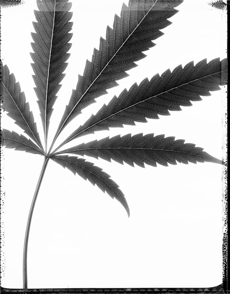 Photography project by  joSon