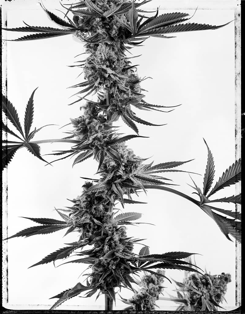 Photography project by  joSon