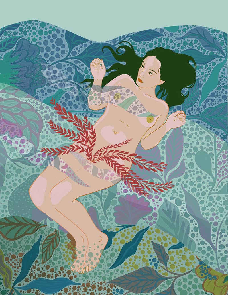 Illustration project by Emily Dakin