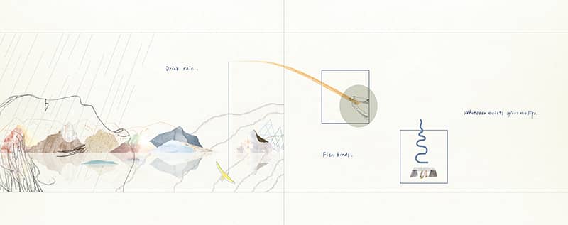 Illustration project by Lu Xu