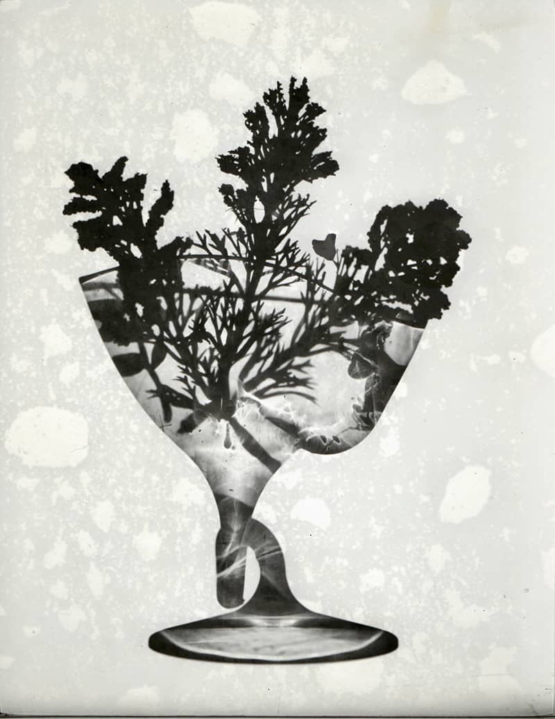 Photography project by Ursula Ferrara