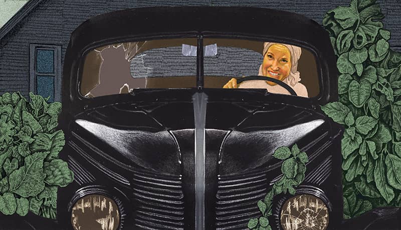 Illustration project by Dominic Bodden