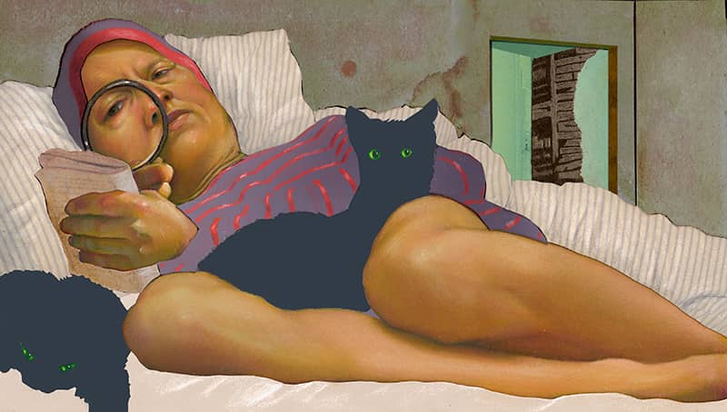 Illustration project by Dominic Bodden