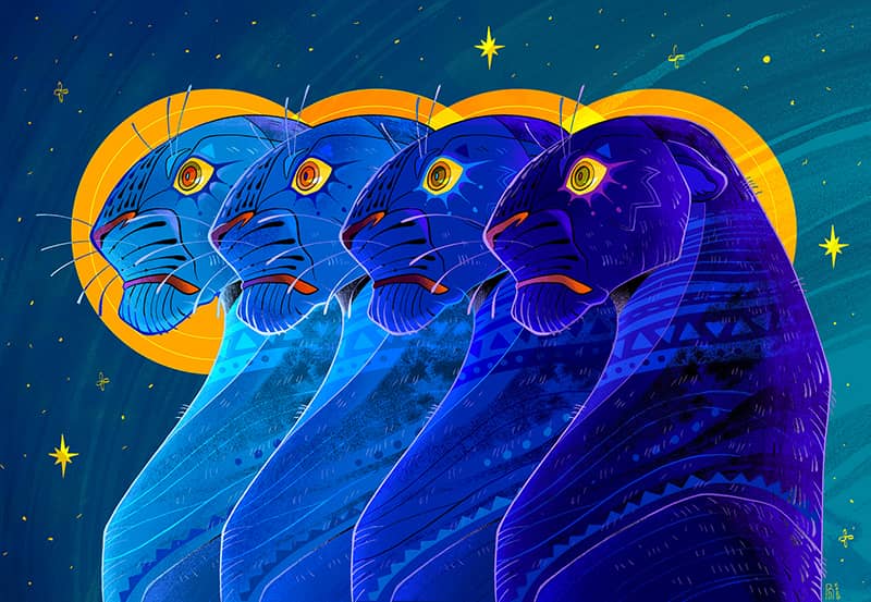 Illustration project by Dominique Ramsey