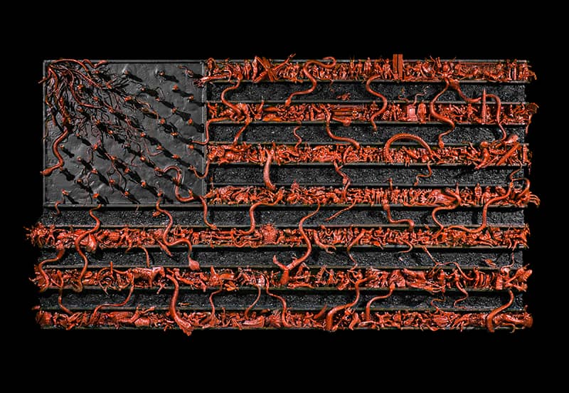 Fine Art project by Will Whitehurst