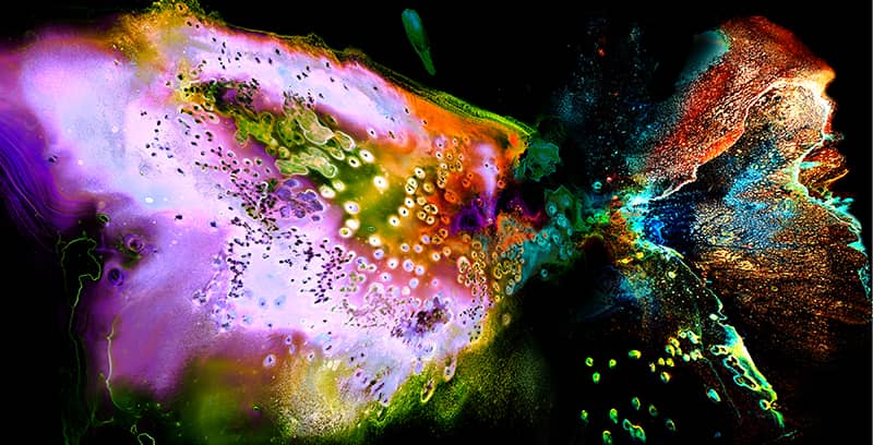 Fine Art project by Nancy McGee