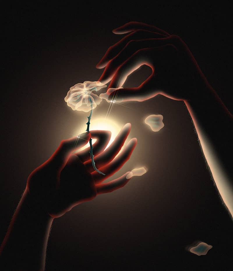 Illustration project by Arushi Kathuria