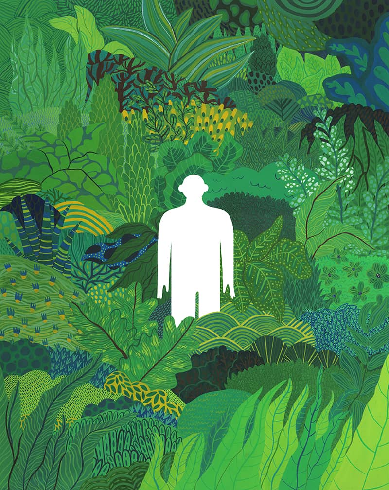Illustration project by Faythe Stone