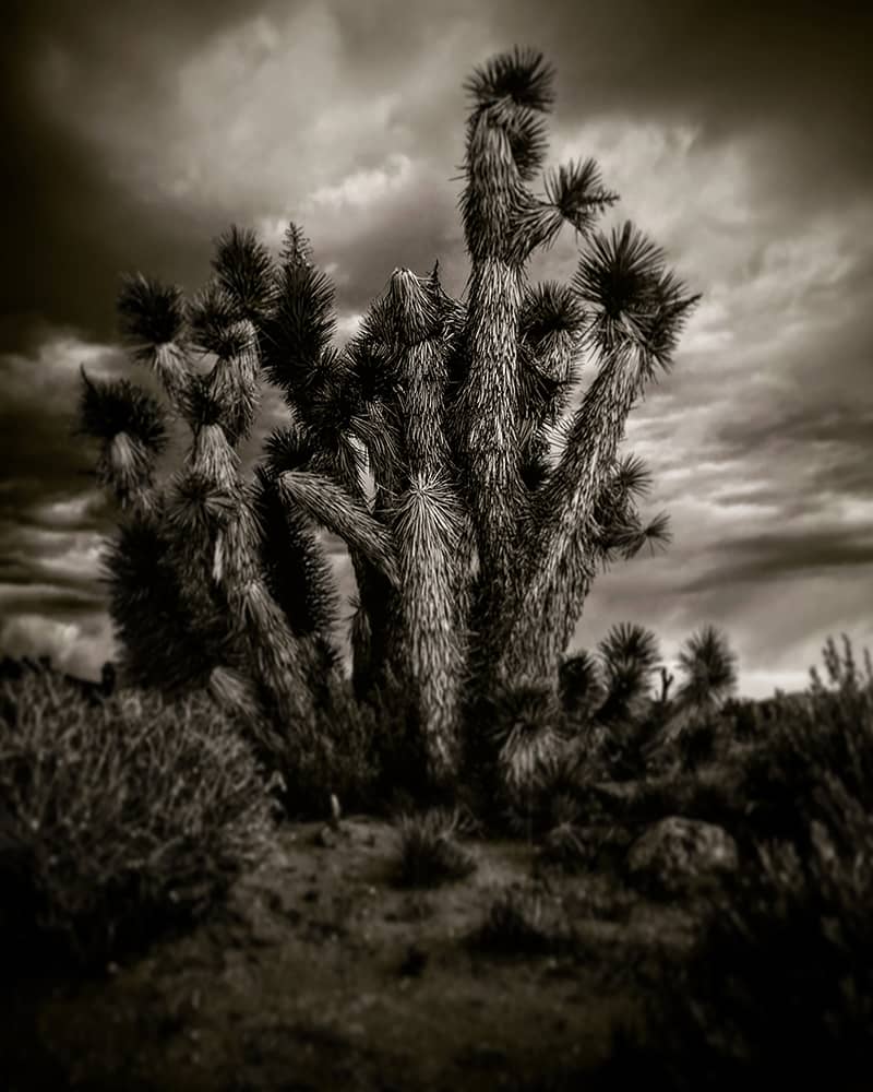 Photography project by John Rees