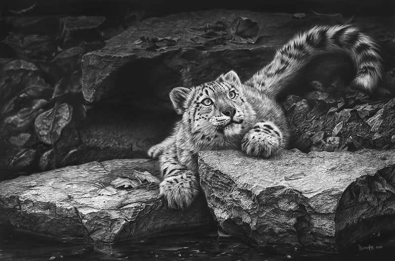 Fine Art project by Monica Lee