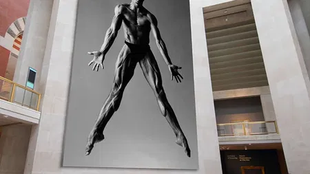  Schatz Ornstein Studio