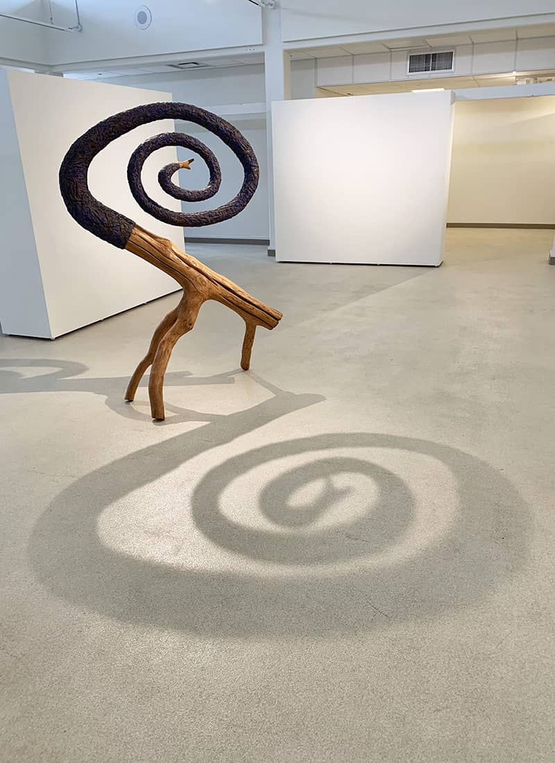 Fine Art project by Duane Paxson