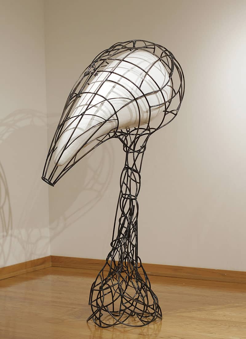 Fine Art project by Duane Paxson