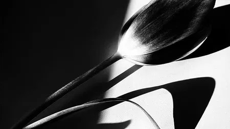 Trevor Messersmith/80east Design