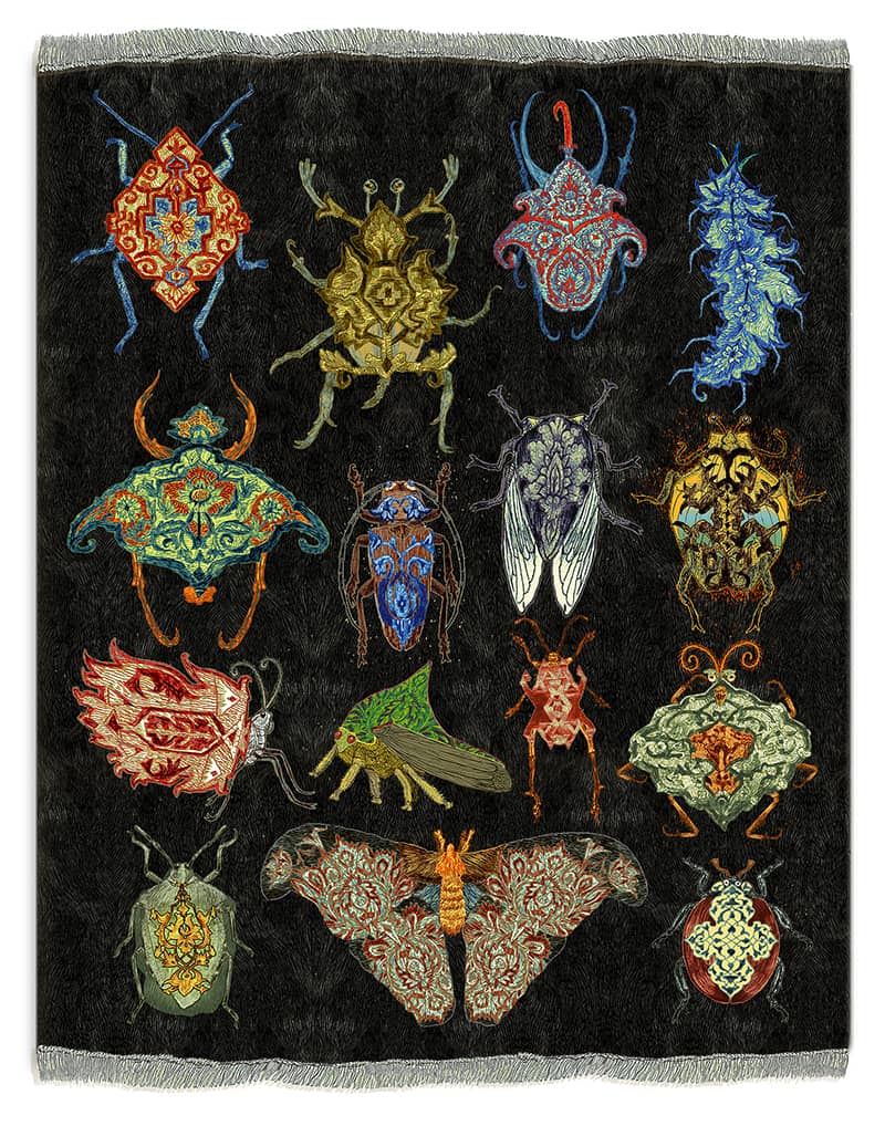 Illustration project by Ilene Winn-Lederer