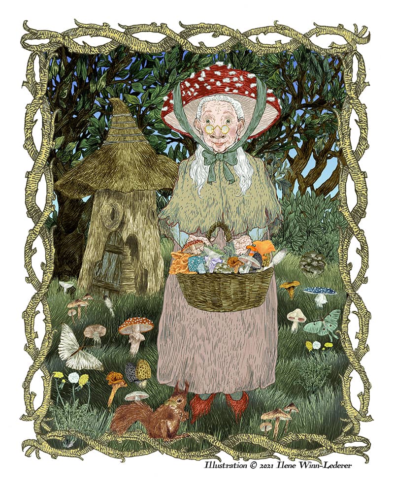 Illustration project by Ilene Winn-Lederer