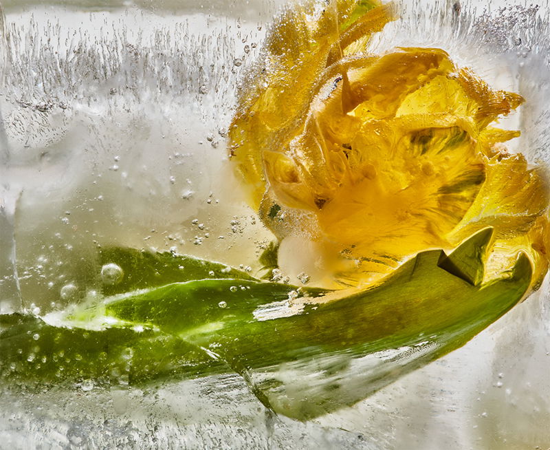 Photography project by Eric Stampfli