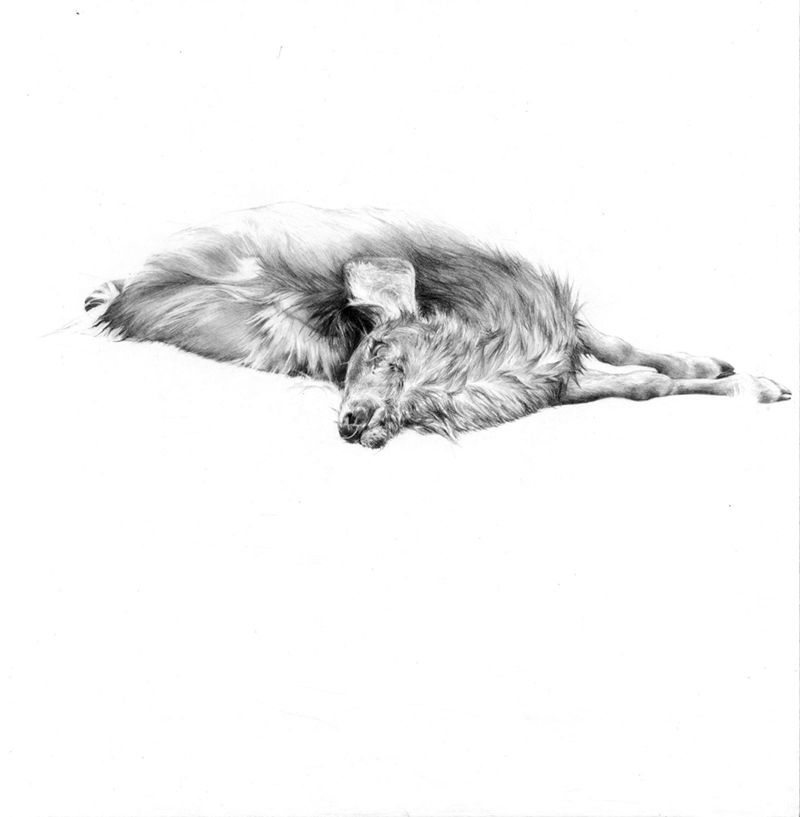 Fine Art project by Emily Beeman