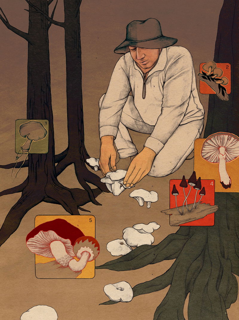 Illustration project by Anna Sorokina