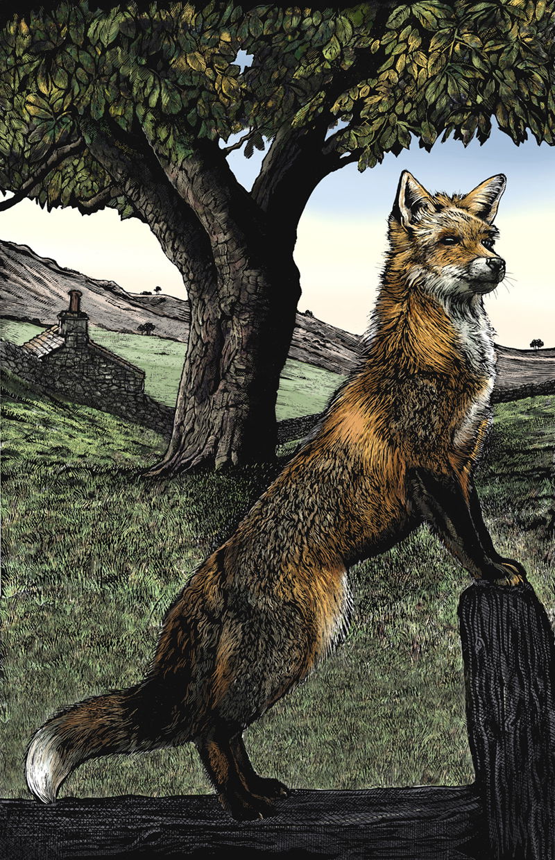 Illustration project by Jerry Hoare