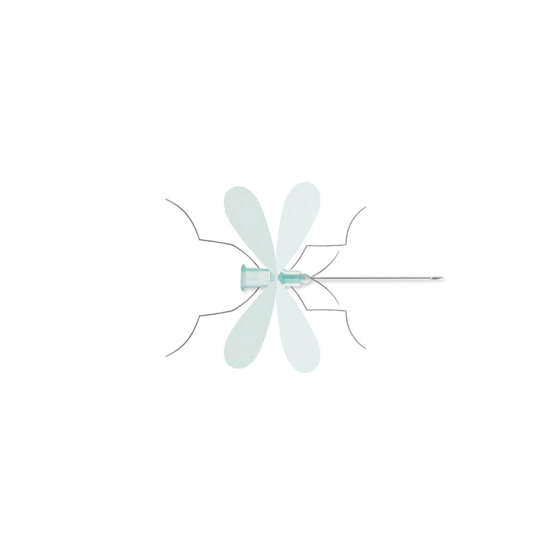 Illustration project by Mariaelena Caputi